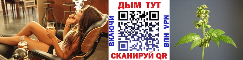 kraken ССЫЛКА  Покров  МАРИХУАНА Ganja  как найти закладки 